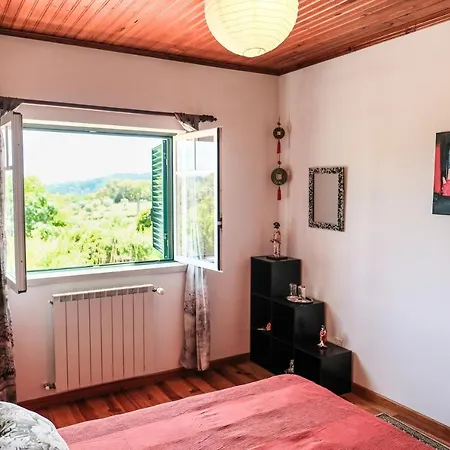 Apartament A Casa Do Olival - Zona Castelo Do Bode-Tomar Barreira Grande Zewnętrze zdjęcie