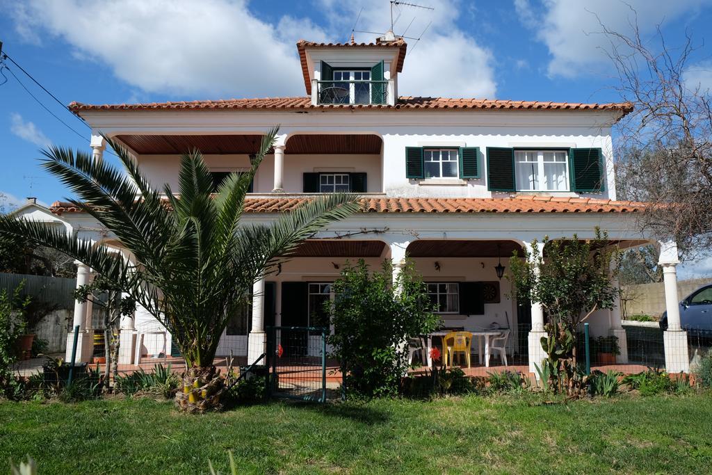Homestay A Casa Do Olival - Zona Castelo Do Bode-Tomar *